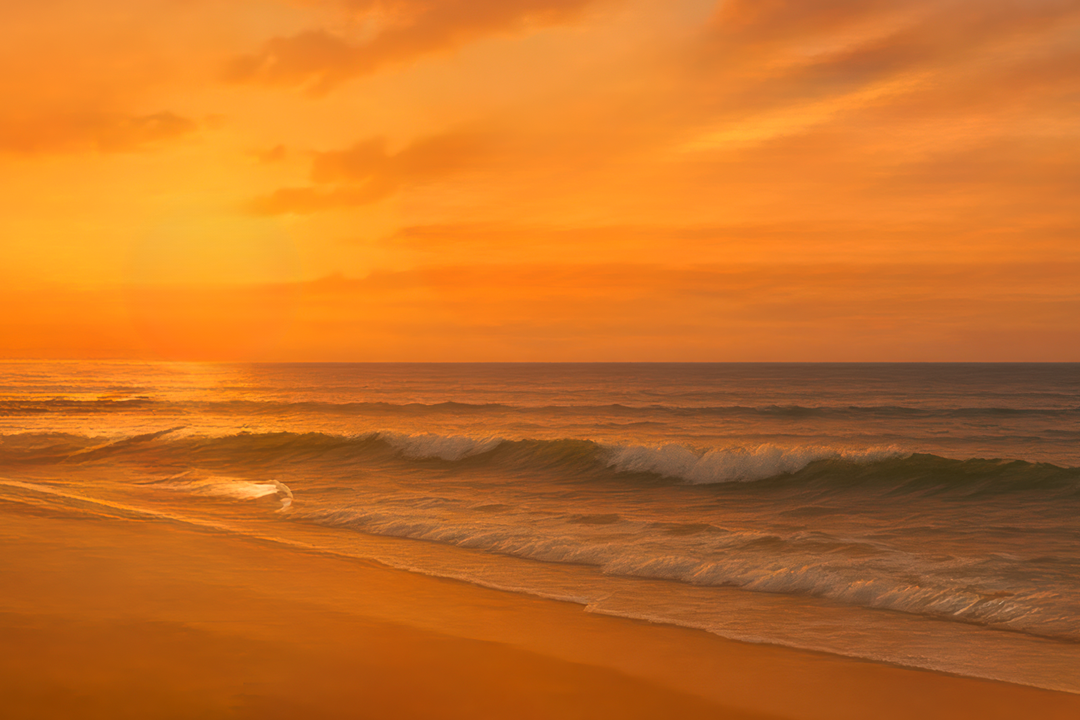 fleursdesMaux-Plage-ComingSOON